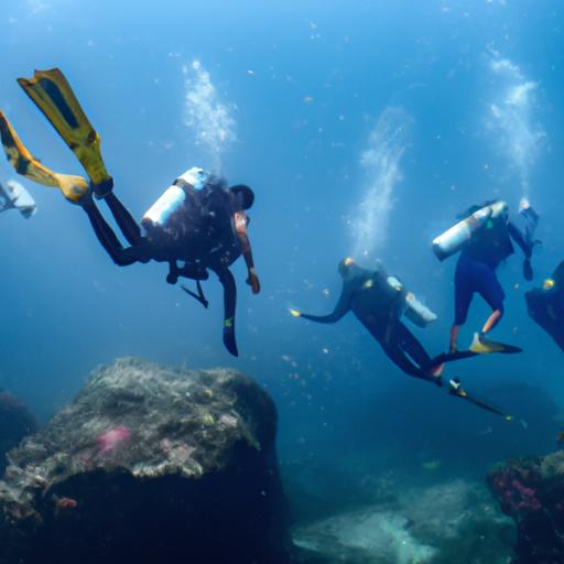 Nhóm người lặn biển khám phá thế giới dưới nước tại Khánh Hòa
