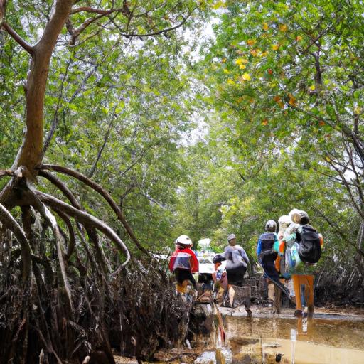 Đoàn khách du lịch khám phá khu rừng ngập mặn độc đáo tại Vườn quốc gia U Minh Hạ